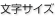文字サイズの変更